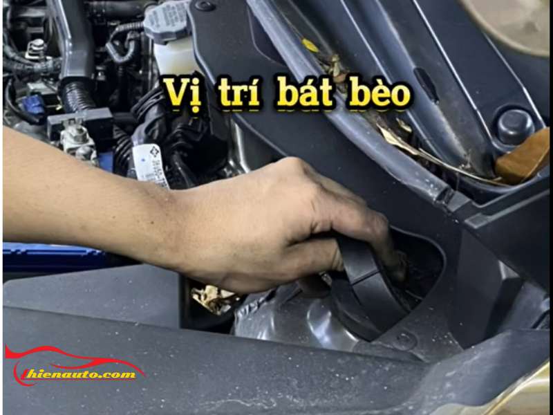 Vị trí của bát bèo trong xe ô tô Vị trí của bát bèo trong xe ô tô