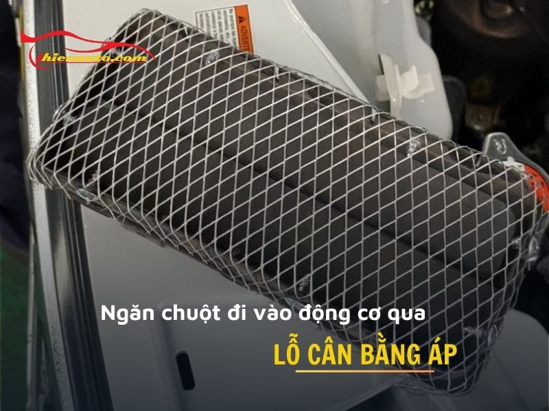 Lưới chống chuột bọc kín lỗ cân bằng áp