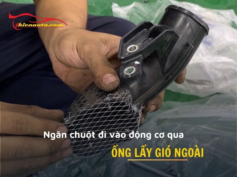 Lưới chống chuột bọc kín ống lấy gió ngoài
