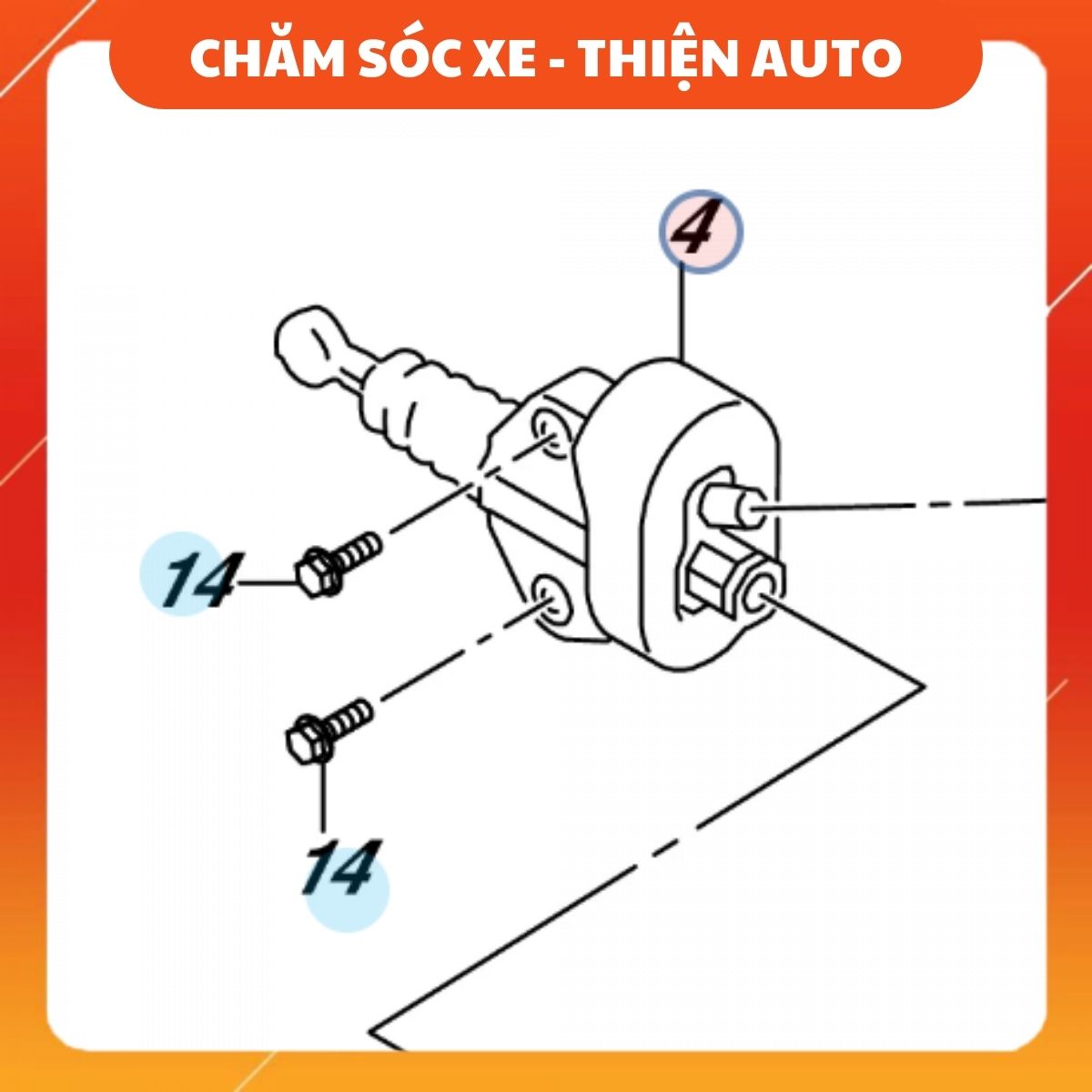 Bộ phận có vị trí gần bộ côn
