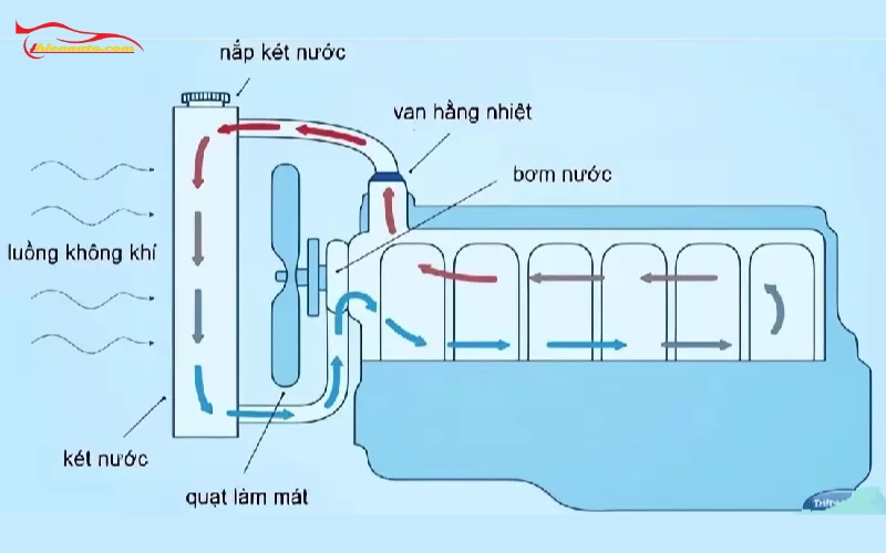 Vệ sinh két nước Suzuki XL7/Ertiga: Vị trí két nước trong hệ thống làm mát ô tô
